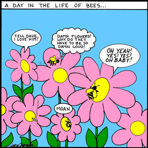 Bees