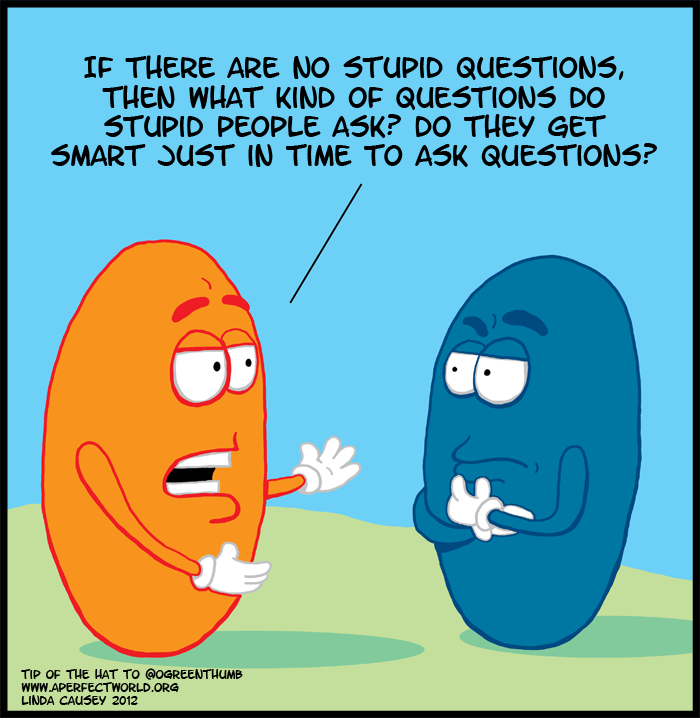 If there are no stupid questions then what kind of questions do stupid people ask? Do they get smart just in time to ask questions?