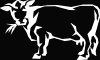 cow08.gif (24589 bytes)