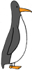 penguin