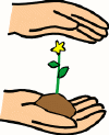 planting03.gif (8399 bytes)